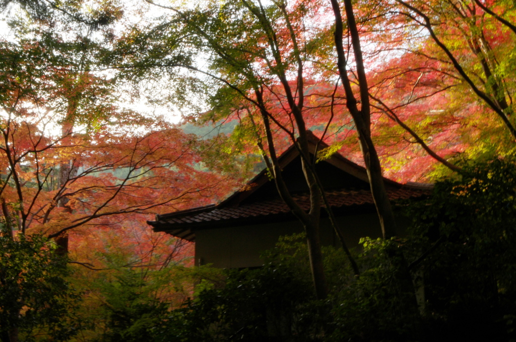 當麻　祐泉寺