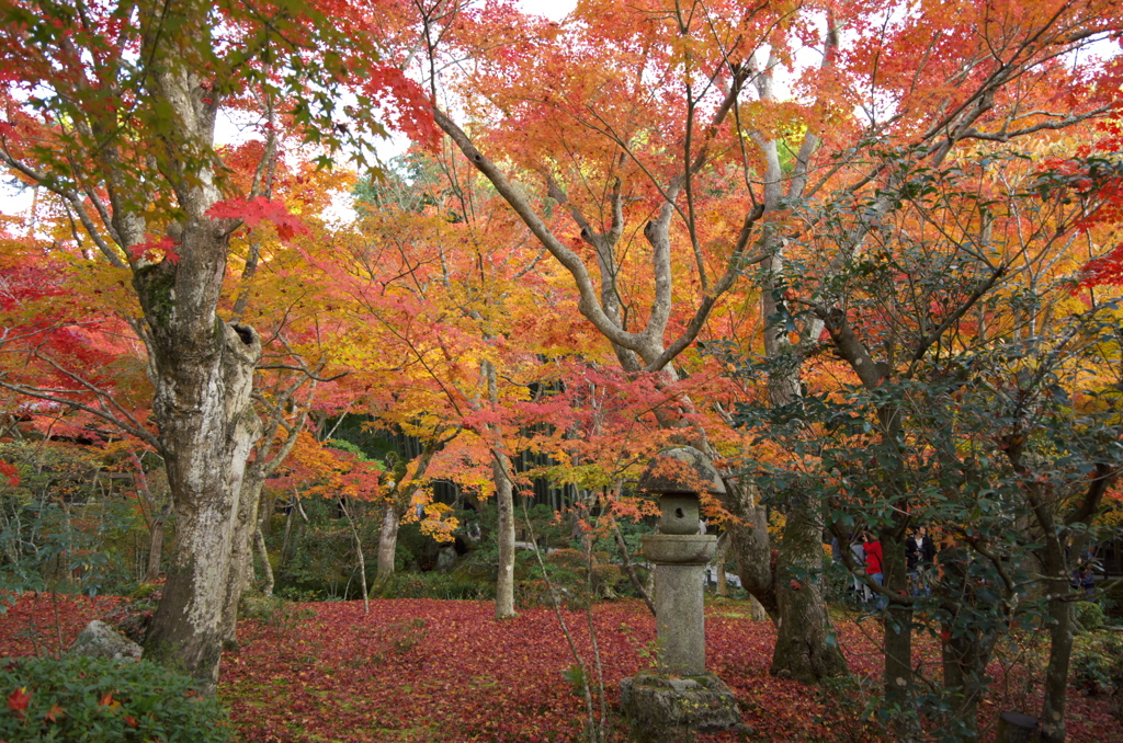 圓光寺２