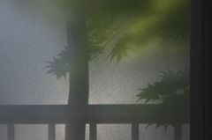 すりガラス風の