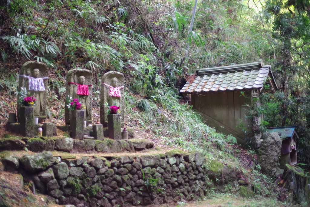 朝の散歩道少し秋色4