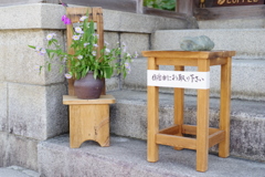 お取りくださいはパンフです