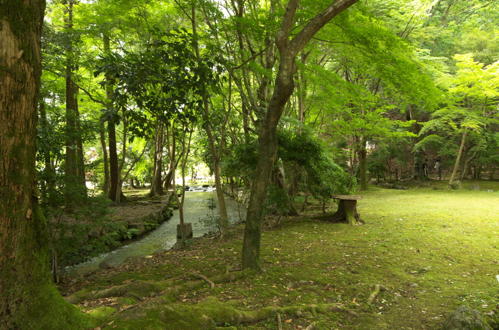 上賀茂神社