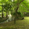 上賀茂神社