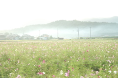 藤原京の風景２