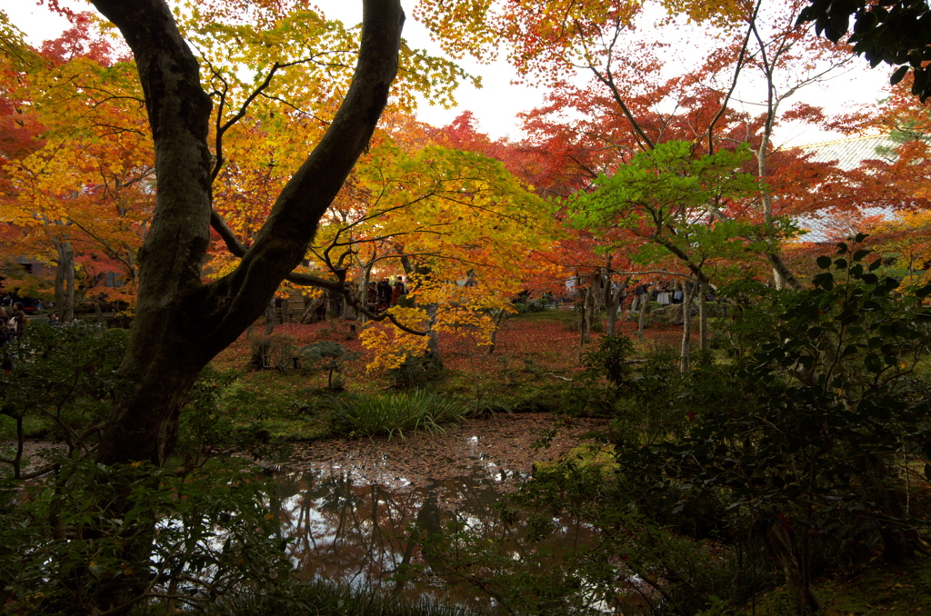 圓光寺４