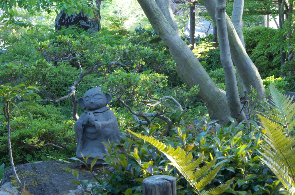 ねがったものは　新緑