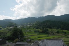桜井粟原棚田