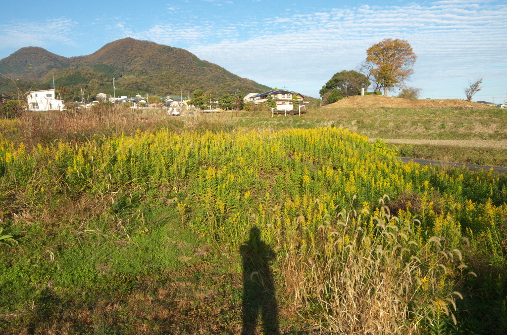 二上山と首子塚古墳と私