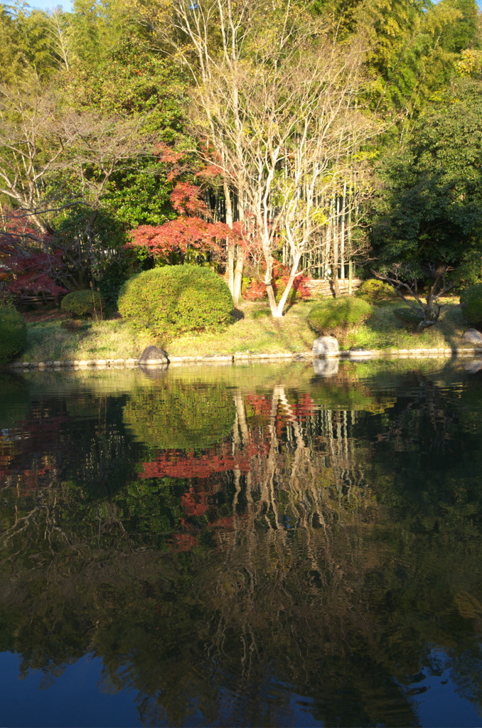 落ち着き