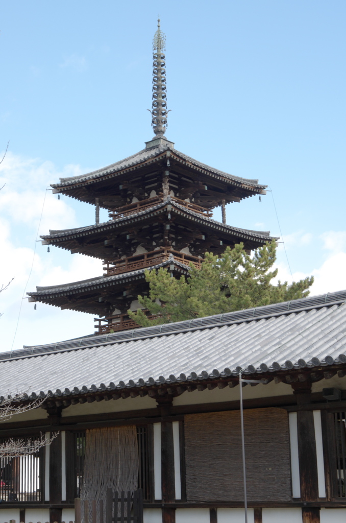 法隆寺　外から失礼します。