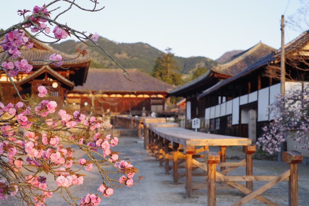 當麻寺練供養1