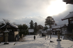 奈良県　當麻寺雪景色