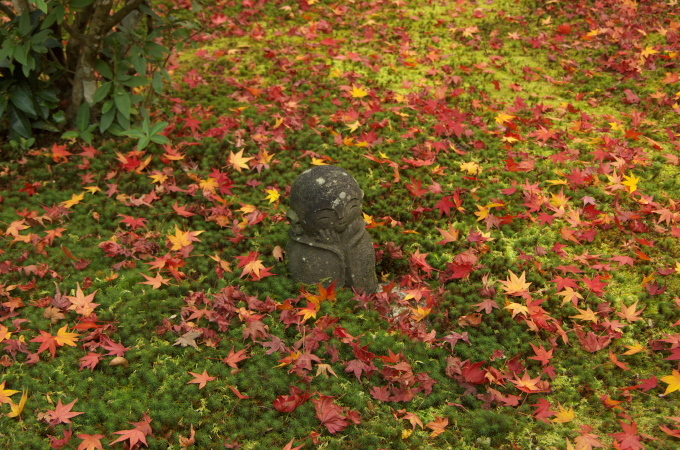 圓光寺１