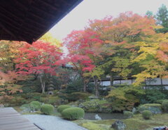 泉涌寺　御座所庭園