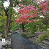 上賀茂神社１