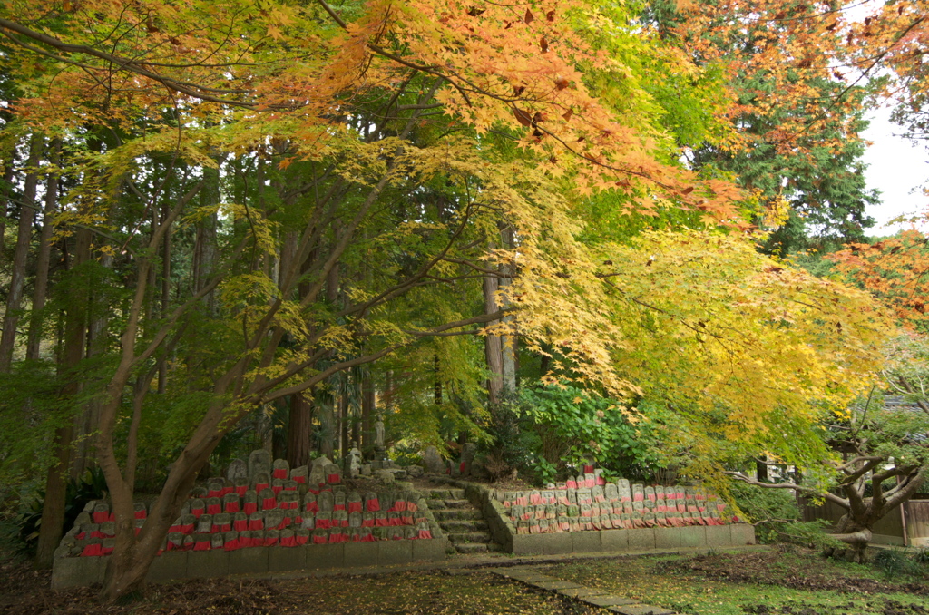 九品寺紅葉と千体石仏