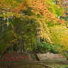 九品寺紅葉と千体石仏