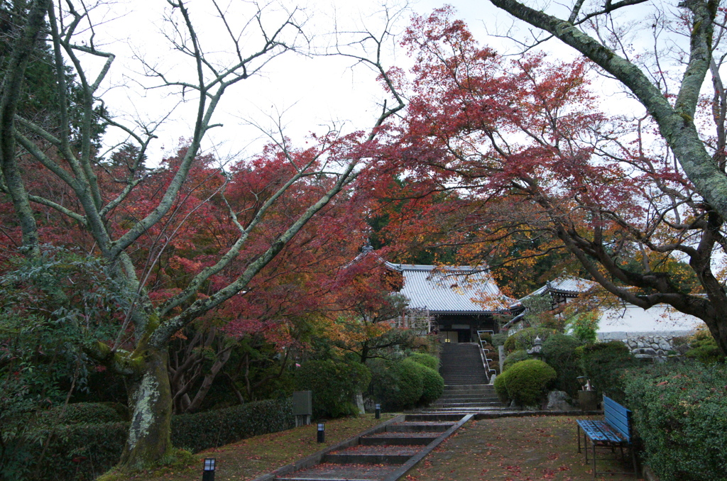 九品寺 2020/11/23