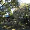 笛吹神社１