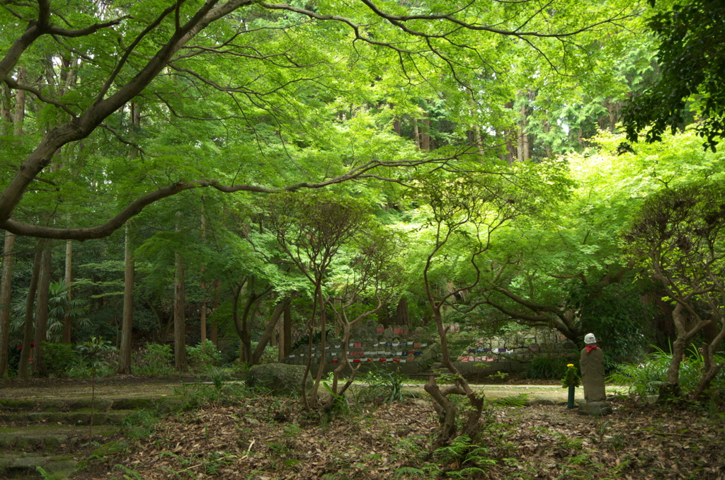 お地蔵様　特等席