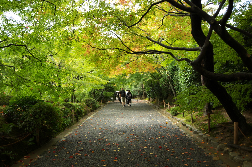 龍安寺１