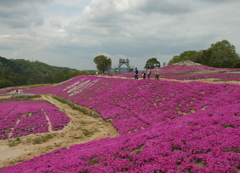 花夢の里１