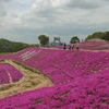 花夢の里１