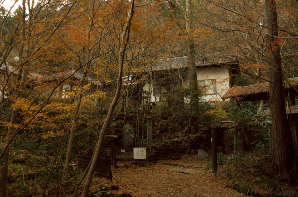 祐泉寺 車で出かけなくても