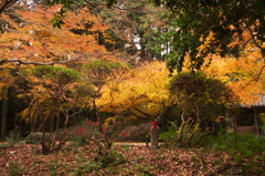 お地蔵さま特等席です２