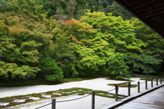 南禅寺　天授庵　本堂前庭