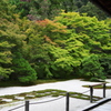 南禅寺　天授庵　本堂前庭