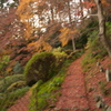 九品寺紅葉