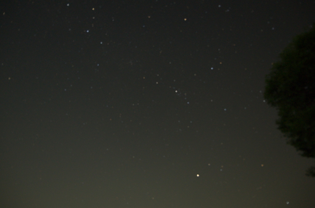 カシオペア座しかわかりません