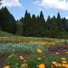 くじゅう花公園