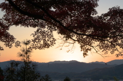 九品寺　紅葉　2018