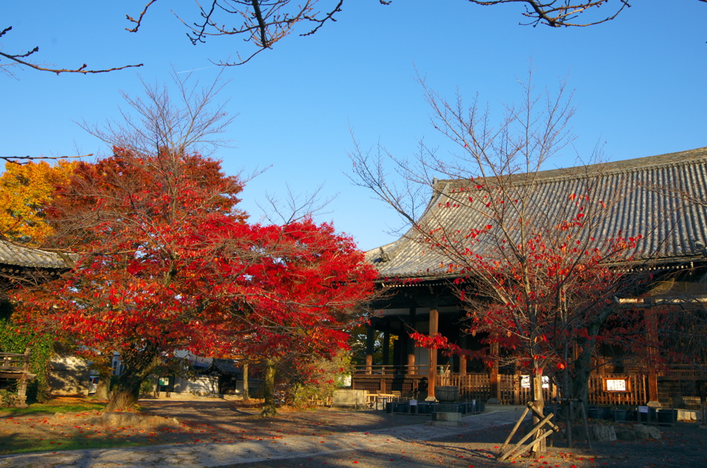 立本寺２