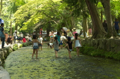 上賀茂神社