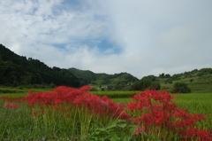 明日香村稲淵５