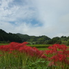 明日香村稲淵５