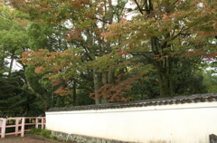 上賀茂神社