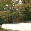 上賀茂神社
