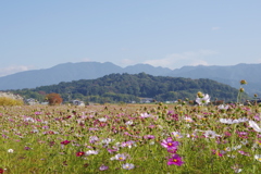 藤原京跡　天香久山