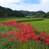 明日香村稲淵４