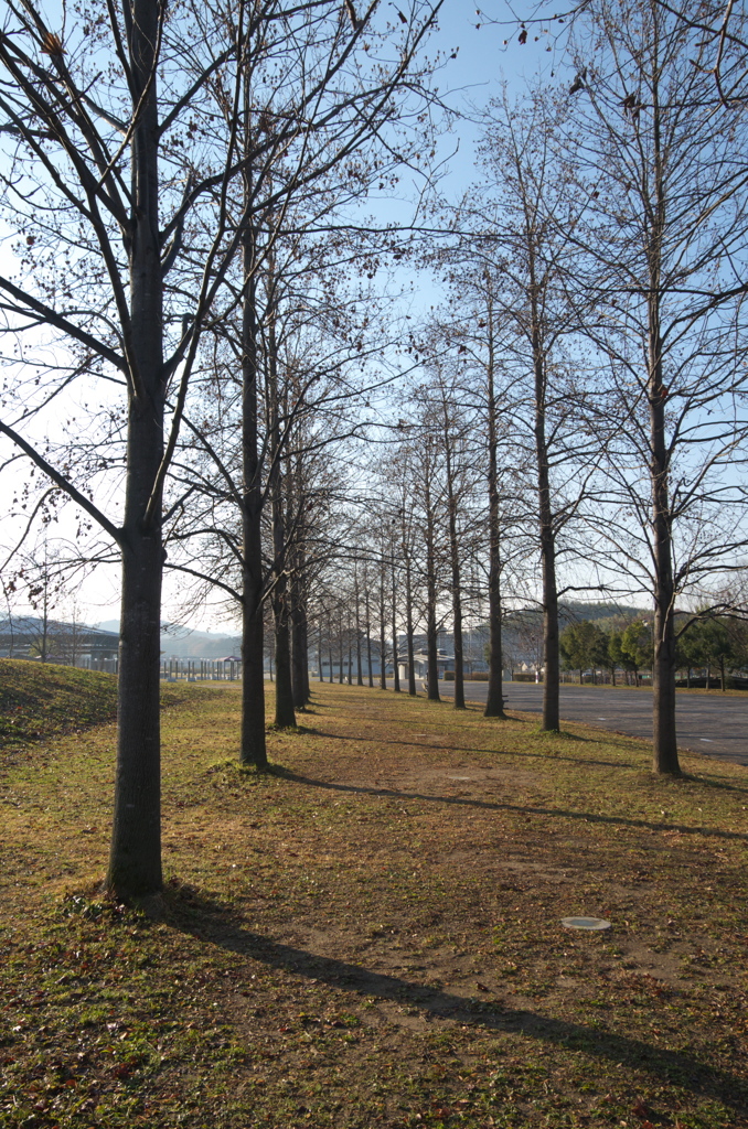水平ですか。その２