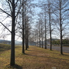 水平ですか。その２