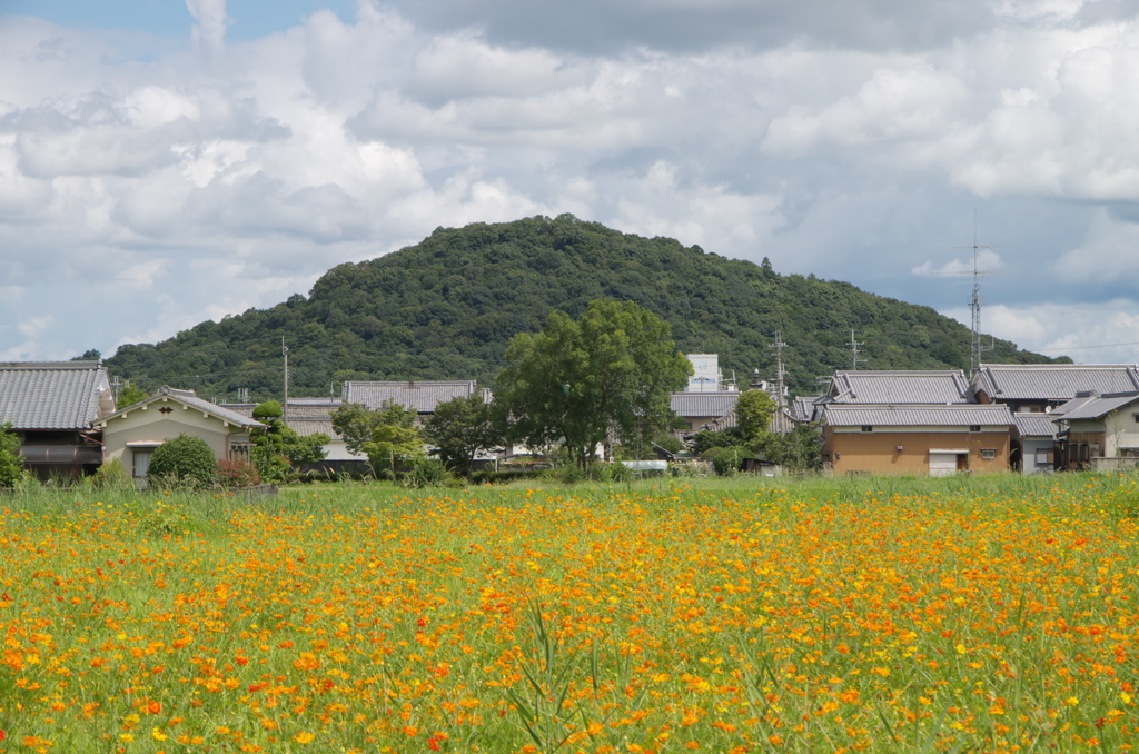 耳成山は外せません