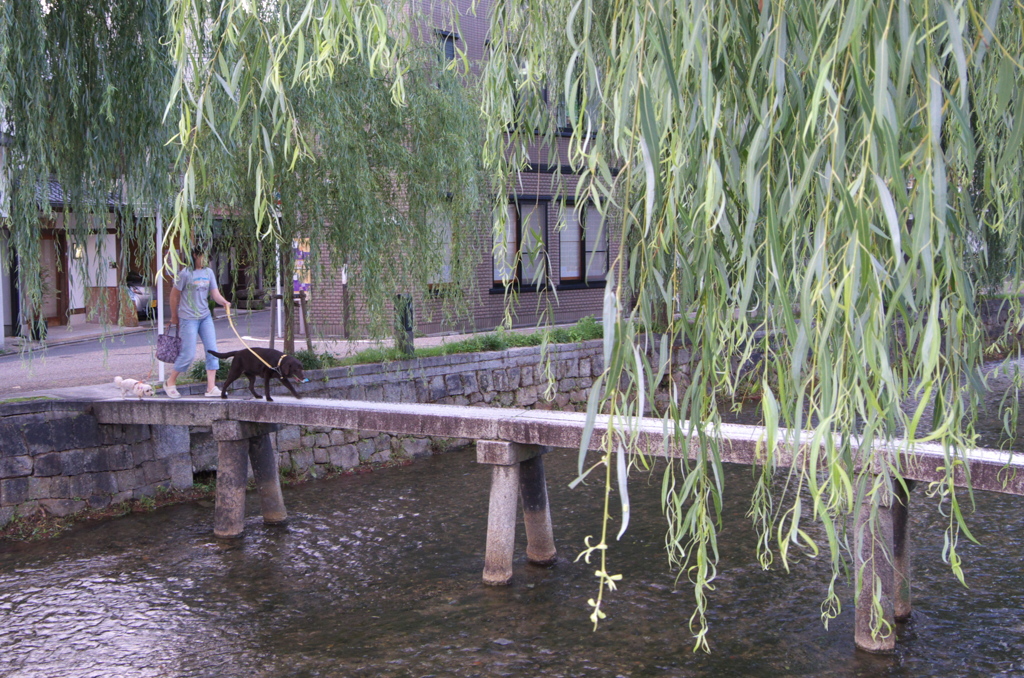 白川一本橋２