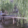 白川一本橋２