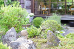 ねがったものは