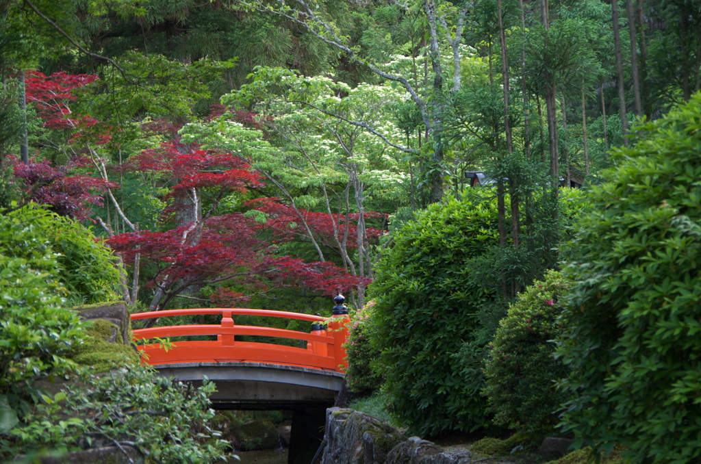 霊山寺